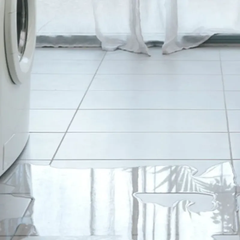 Appliance Leak Cleanup in Big Lake, WA