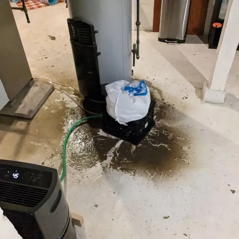 Sewage Backup Cleanup Service in Big Lake, WA